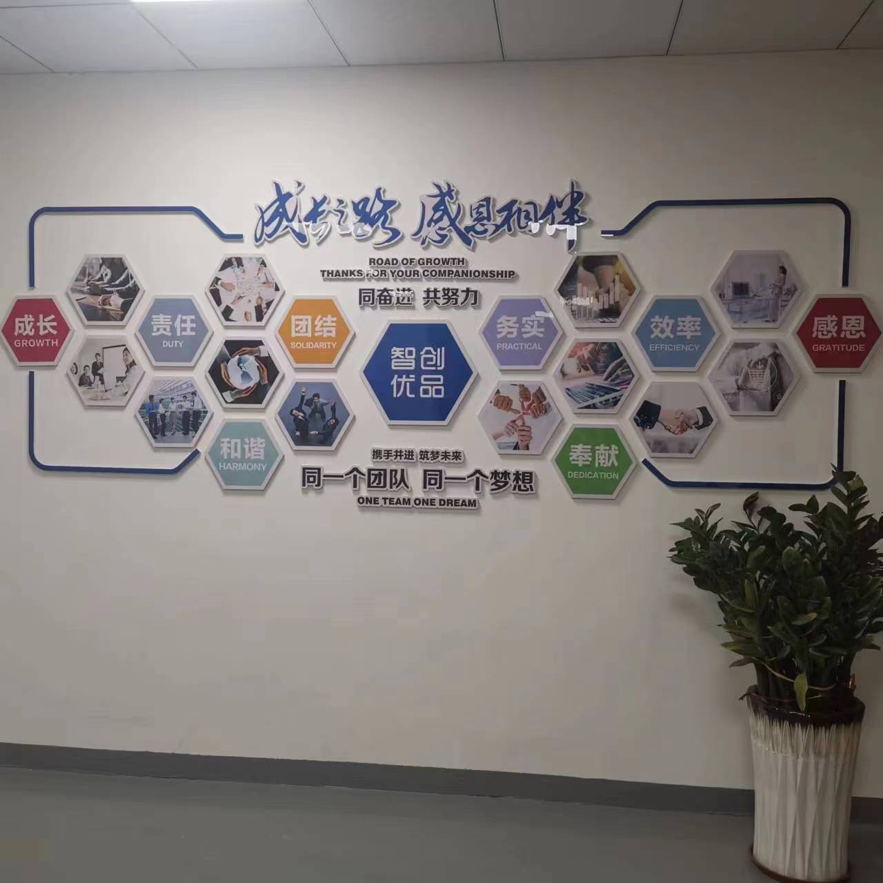 Corporate Environment